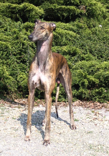 Arthaban Du domaine de pharamond