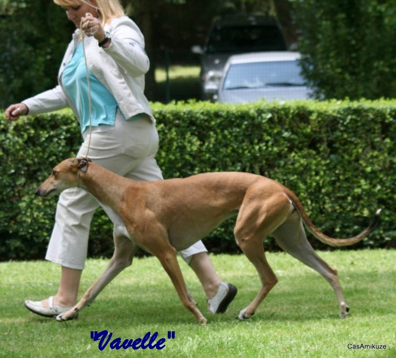 Erha Du domaine de pharamond